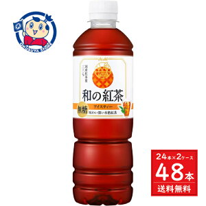 ATq a̍g ACXeB[ 500ml×24{×2P[X F2025N34