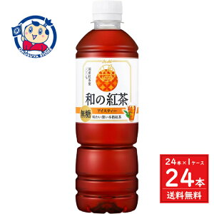 ATq a̍g ACXeB[ 500ml×24{×1P[X F2025N34