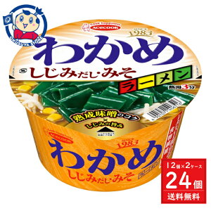 G[XRbN 킩߃[ ݂E݂ 92g×12×2P[X F2025N23