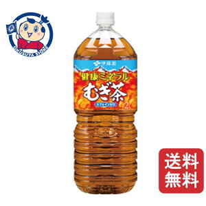 ɓ N~lނ 2bg×6{×2P[X