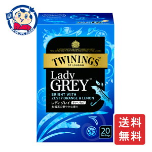 片岡物産 トワイニング レディグレイ 20袋×24個入×1ケース