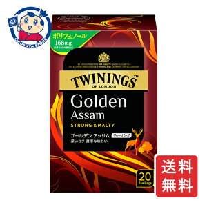 ЉY gCjO S[fAbT 20×24×1P[X