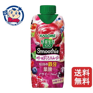 JS ؐ100 Smoothie x[&X[W[ 330ml×12{×2P[X