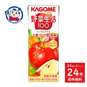 JS ؐ100 AbvT_ 200ml×24{×1P[X