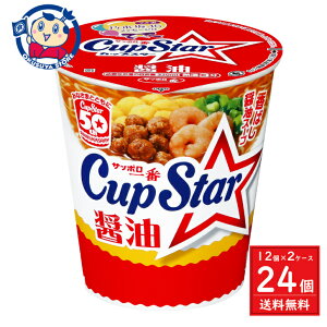 T[ Tb| JbvX^[ ݖ 71g×12×2P[X j[AF2024N107