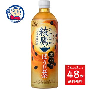RJR[  ق 650ml×24{×2P[X :2025N33