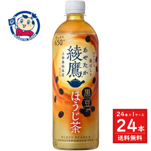 RJR[  ق 650ml×24{×1P[X :2025N33