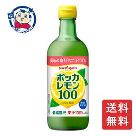 ポッカサッポロ ポッカレモン100 450ml瓶×12本入×1ケース