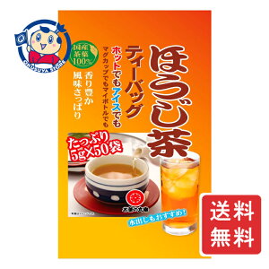 ̊ۍK قeB[pbN(5g×50p) 250g×10ܓ×1P[X