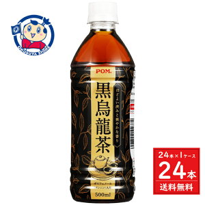 Ђ߈ POM G 500ml×24{×1P[X F2025N33