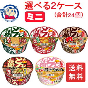  ̂ǂ񕺉q~j Iׂ2P[XZbg (v24)