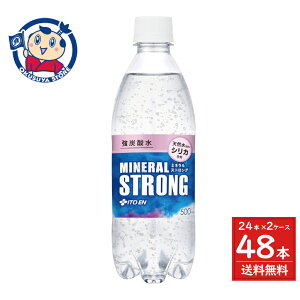 ɓ Y_ ~lSTRONG({) 500ml×24{×2P[X F2023N36