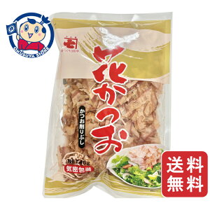 ˎ Ԃ 45g×20×1P[X