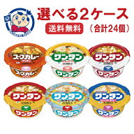 東洋水産 マルちゃんワンタン 選べる2ケースセット (合計24個)