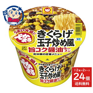 mY } ł܂ 炰ʎquߕ|RNݖ[ 129g×12×2P[X F2025N91