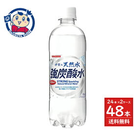 サンガリア 伊賀の天然水強炭酸水 500ml×24本入×2ケース