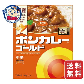 大塚食品 ボンカレーゴールド 中辛 180g×10個入×2ケース