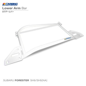 �X�o�� �t�H���X�^�[�iSH9/SH5(NA)�j�����A�[���o�[ /�t�����g /�^�C�vII�y�I�N���}/CARBING�z