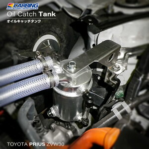 g^ 30vEXiZVW30j ICLb`^NyIN}/CARBINGz