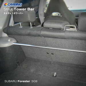 Xo tHX^[iSG9jXgbg^[o[ /A~ /A /^CvIyIN}/CARBINGz