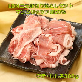 銘柄豚　あだたら豚 極 LDM(マンガリッツァ50％)　三元豚　切り落としセット　東北　福島