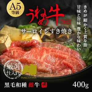 a A5   ˂ߋ T[C Ă 400g ~ ₫ Ă  Mtg јa