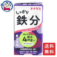 チチヤス しっかり鉄分 125ml×12本入×4ケース