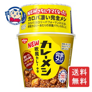  SV J[VJ[ 119g×6×3P[X F2024N99
