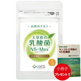 大草原の乳酸菌 36粒 NS-Max ＋ 小冊子プレゼント! ラクア NS乳酸菌 サプリメント モンゴル 乳酸菌 ロイテリ菌 善玉菌