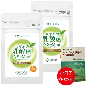 2܃Zbg 呐̓_ 36 NS-Max { qv[g! NA NS_ Tvg S _ Ce Pʋ