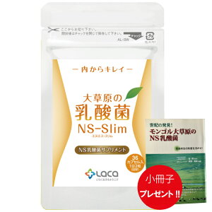 大草原の乳酸菌 36粒 NS-Slim + 小冊子プレゼント! ラクア NS乳酸菌 サプリメント モンゴル 乳酸菌 ロイテリ菌 善玉菌