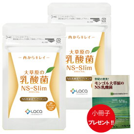 2袋セット 大草原の乳酸菌 36粒 NS-Slim　＋ 小冊子プレゼント！ ラクア NS乳酸菌 サプリメント モンゴル 乳酸菌 ロイテリ菌 善玉菌