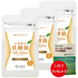 3�܃Z�b�g �呐���̓��_�� 36�� NS-Slim�@�{ �����q�v���[���g�I ���N�A NS���_�� �T�v�������g �����S�� ���_�� ���C�e���� �P�ʋ�