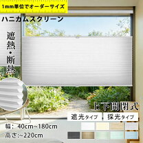 楽天市場】ハニカムスクリーン 上下の通販