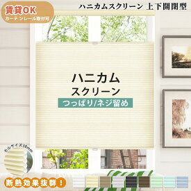 【P10倍★2000円クーポン】ハニカムスクリーン つっぱり 上下開閉型 カーテンレール取付けOK ハニカムシェード コードレス オーダー シェード ハニカム省エネ 二層構造 断熱 遮熱 保温 ブラインド 賃貸 突っ張り 取付簡単 間仕切り 賃貸OK 遮光 断熱