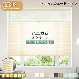 【P10倍★2000円クーポン】ハニカムシェード ツイン タイプ つっぱり ハニカムスクリーン コードレス プリーツスクリーン 遮光 調光 節電 採光 断熱 防寒 保温カーテン オーダーサイズ 断熱スクリーン洋室 和室 おしゃれ 日除け 日よけ