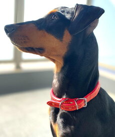 カラー 半丸首輪 中型犬用 小型犬用 レザー 革 本革 なめし革 シーズー ダックスフンド 柴犬 ビーグル シェルティ 紀州犬 ブルドック 日本製 メール便対応