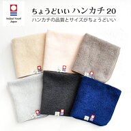 今治タオル ハンカチ ちょうどいいハンカチ20 ハンドタオル 20cm x 20cm プレゼント プチ ギフト 入学 入…