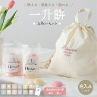 1歳 誕生日 一升餅 小分け 紅白 名入れ ナップサックセット 一歳 1才 お祝い ギフト 赤ちゃん 男の子 女…