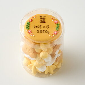 j NbL[ NbL[ َq  O oYj oYj Ԃ ACVONbL[ A\[gNbL[ ͂ ~j{bNX   ˂ Ԃ xr[ j̎q 