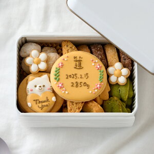 j NbL[ NbL[ َq  O oYj oYj Ԃ ACVONbL[ A\[gNbL[ ͂񂭂  ˂ Ԃ xr[ j̎q ̎q oY ۑ