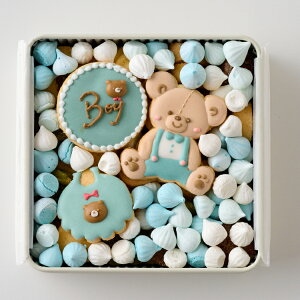 NbL[ WF_[r[@boy girl@ʔ\ NbL[ َq oYj TvCY Ԃ ACVONbL[ A\[gNbL[ ͂   Ԃ xr[@j̎q@