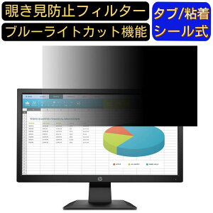 y|Cg2{zHP ProDisplay P204 [19.5C`] 16:9 `h~ tB^[ vCoV[tB^[ p\RPC j^[ tیtB u[CgJbg ˖h~ p\R ZLeB[