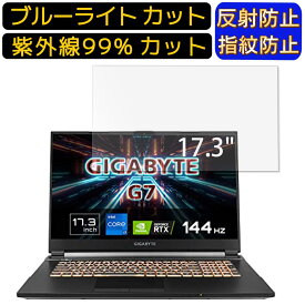 【ポイント2倍】GIGABYTE G7 17.3インチ 16:9 向け ブルーライトカットフィルム　パソコン モニター液晶保護フィルム PCモニター デスクトップ 画面保護 反射防止 アンチグレア 指紋防止 気泡防止 抗菌 非光沢 PC保護シート