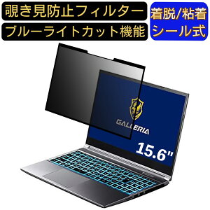 �y�|�C���g2�{�zTHIRDWAVE GALLERIA RL5C-R35T 15.6�C���` 16:9 ���� �S���� �`�����h�~�t�B���^�[ �v���C�o�V�[�t�B���^�[�@�p�\�R�� PC �t���ی�t�B���� �u���[���C�g�J�b�g ���˖h�~ ���E�ȒP �ی�