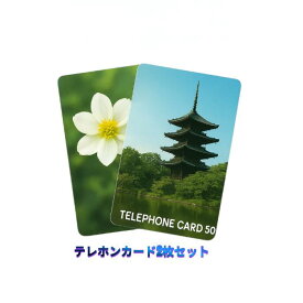 【NTT公衆電話用】50度テレホンカード　2枚セット　テレカ
