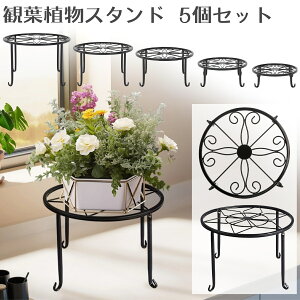 t[X^h 5Zbg K[fjO  ԑ |bg  ϗtA X^h ACA Aؔ |bN  O  u  Lrt u CeA rt ̓ 