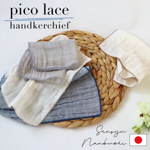 y1000~|bL z { sR[X _uK[[ nJ` 25cm B암D xr[ xr[Mtg Ԃ 100 @ 悾@ Y B^I K[[ ɗD Rb