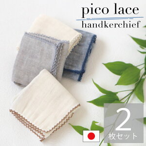 2Zbg { sR[X _uK[[ nJ` 25cm B암D xr[ xr[Mtg Ԃ 100 @ 悾@ Y B^I K[[ ɗD Rbg xr[PA o