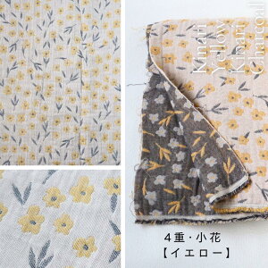 ԗDǃVbv K[[n 4d 6d d n Rbg 70×100cm  { ʂsv B암D n i _炩 ɗD  nhCh   L g 􉽊w 